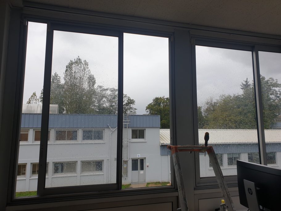 Remplacement polycarbonates